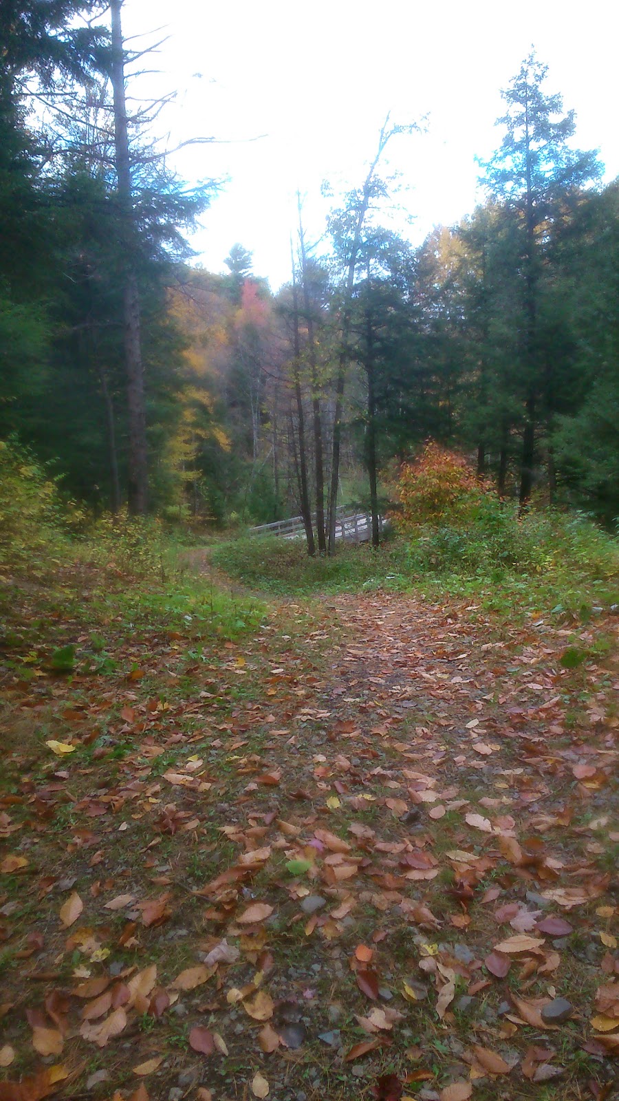 Parc Jacques-Beauchamp | Rue Notre Dame, Mirabel, QC J7J 2M8, Canada | Phone: (450) 475-8653
