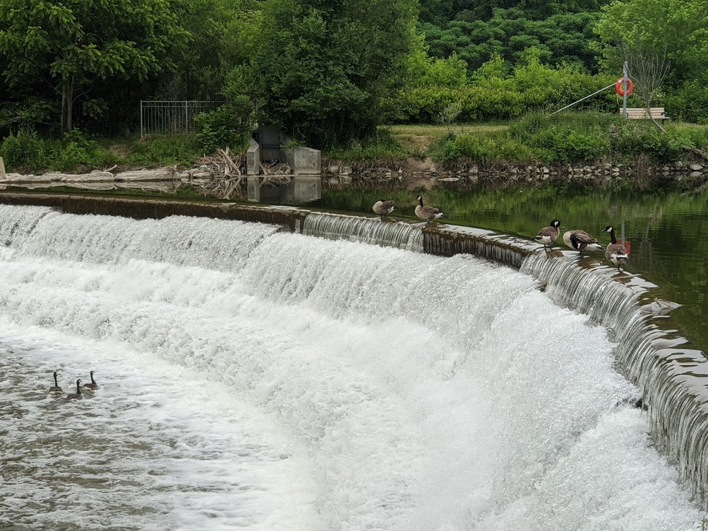 Weston Lions Park | 135 Humber River Recreational Trail, Toronto, ON M9N 1H7, Canada | Phone: (416) 338-4386