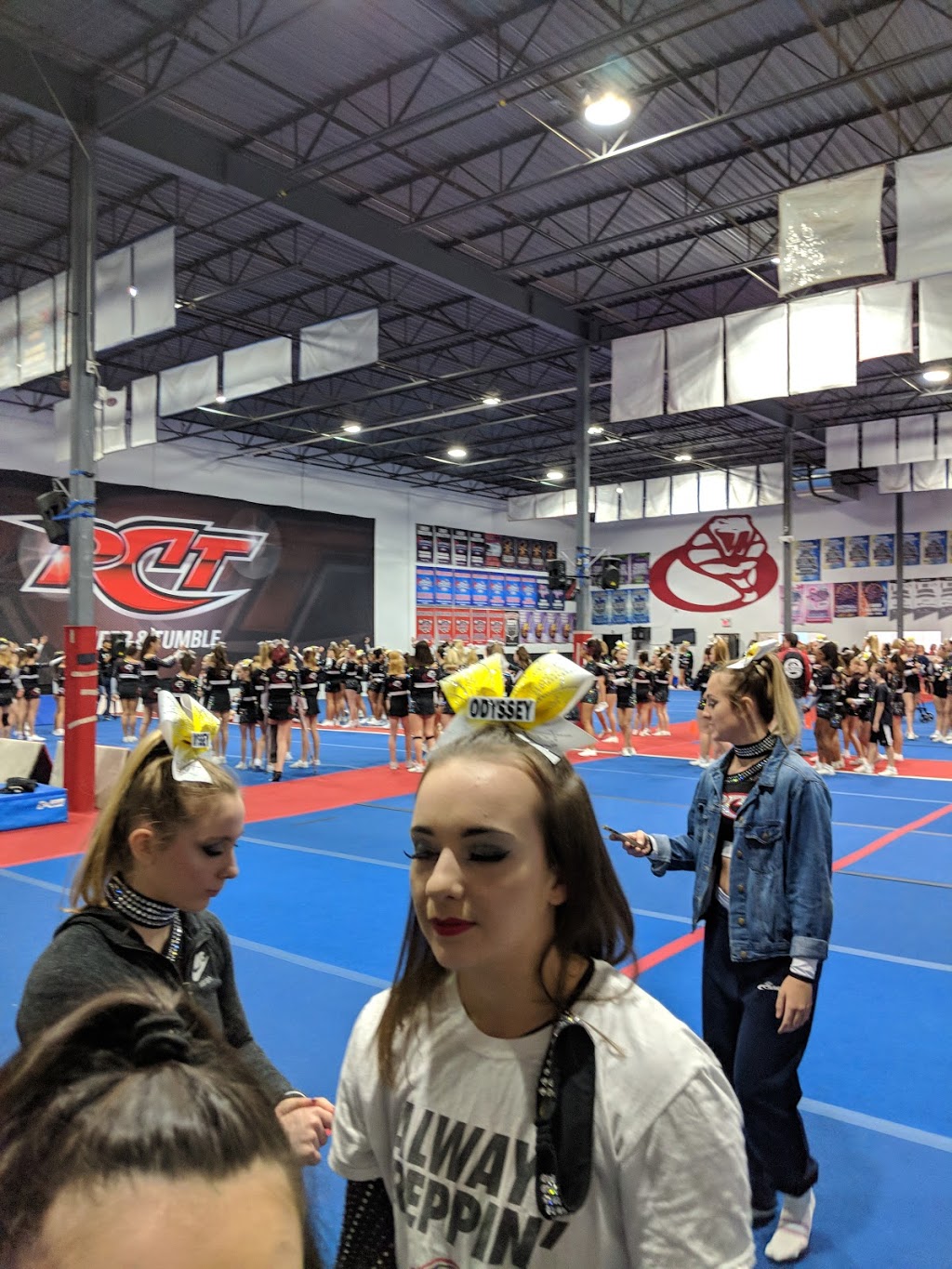 Power Cheer Toronto | 3580 Laird Rd, Mississauga, ON L5L 5Z7, Canada | Phone: (905) 569-0049