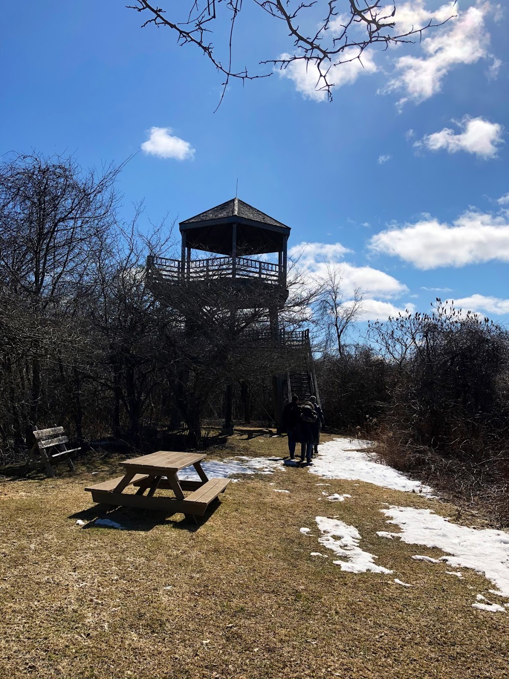 Friends of the National Wildlife Lac-Saint-François | 7600 Chemin de la Pointe-Fraser, Saint-Anicet, QC J0S 1L0, Canada | Phone: (450) 264-5908