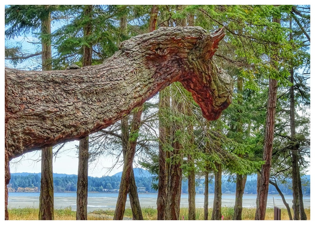 Rathtrevor Beach Provincial Park | 1240 Rath Rd, Parksville, BC V9P 2E2, Canada | Phone: (250) 474-1336