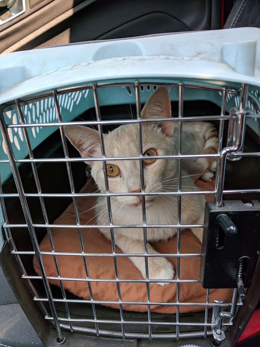 Upper Credit Humane Society | 5383 Trafalgar Rd, Erin, ON N0B 1T0, Canada | Phone: (519) 833-2287