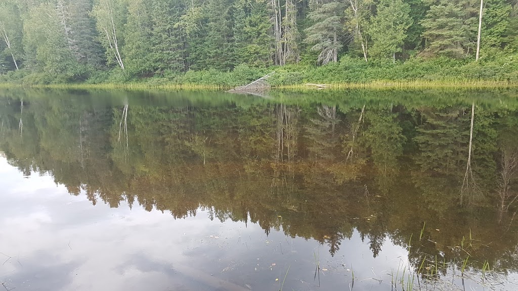 OASIS NATURE | Saint-Côme, QC J0K, Canada | Phone: (514) 884-7021