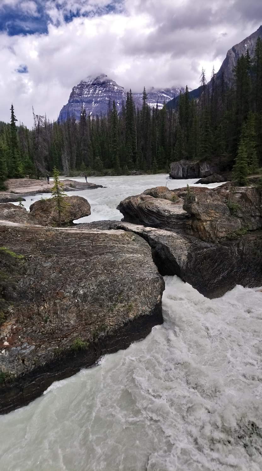 Canmore Park - Cross Country location | 3298 19 St NW, Calgary, AB T2L 2A8, Canada