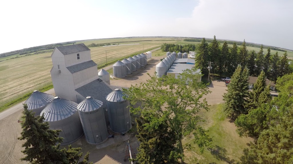 Galloway Seeds Ltd | Range Rd 225, Fort Saskatchewan, AB T8L 3Z9, Canada | Phone: (780) 998-3036