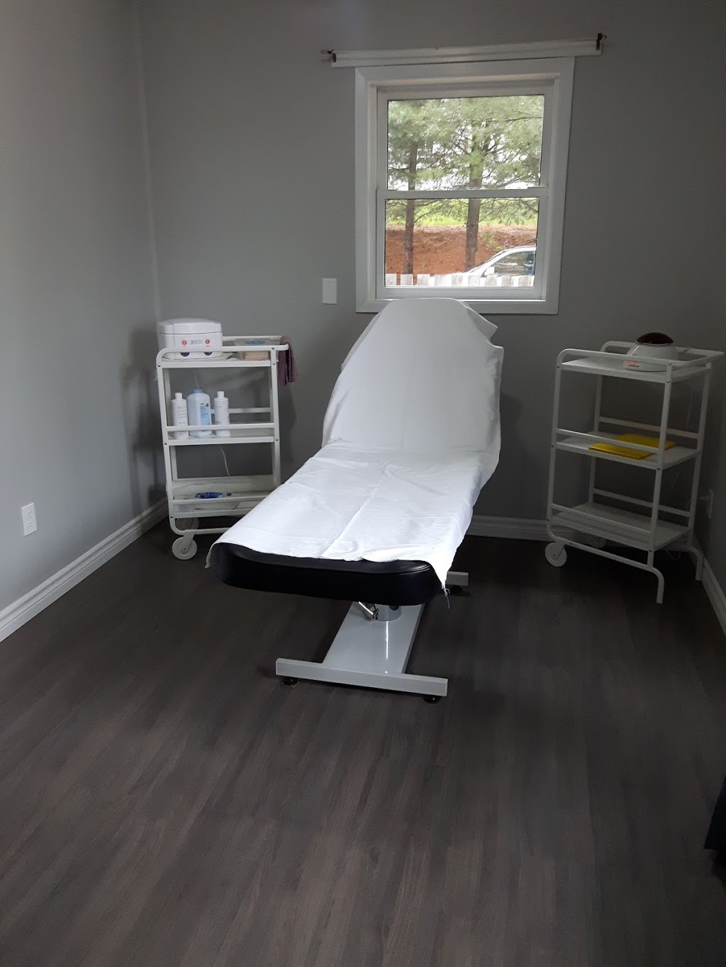Trinas Nails & Waxing Services | 14 Pig Loop Rd, Chester, NS B0J 1J0, Canada | Phone: (902) 273-3311