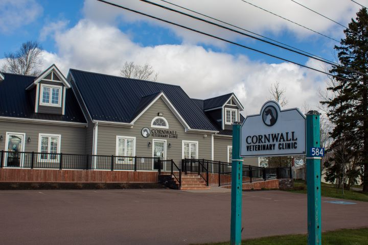 Cornwall Veterinary Clinic | 584 Main St, Cornwall, PE C0A 1H0, Canada | Phone: (902) 368-8374