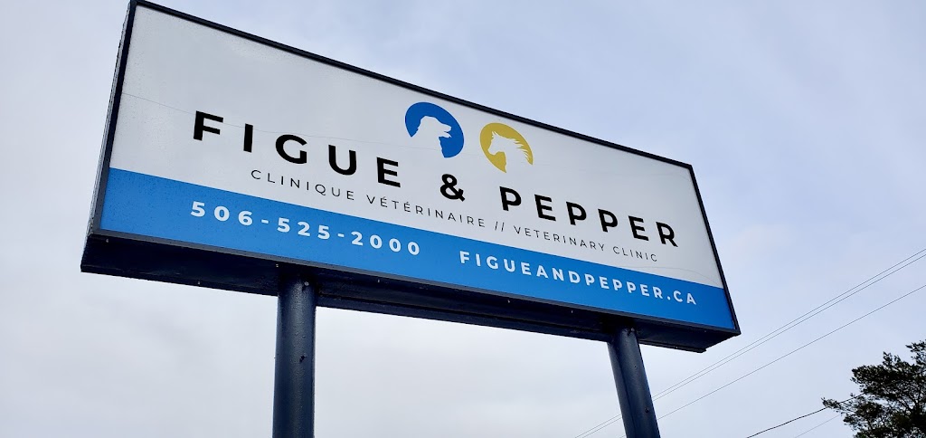 Figue & Pepper Veterinary Clinic / Clinique Vétérinaire | 4578 Rue Principale, Saint-Antoine, NB E4V 1R4, Canada | Phone: (506) 525-2000