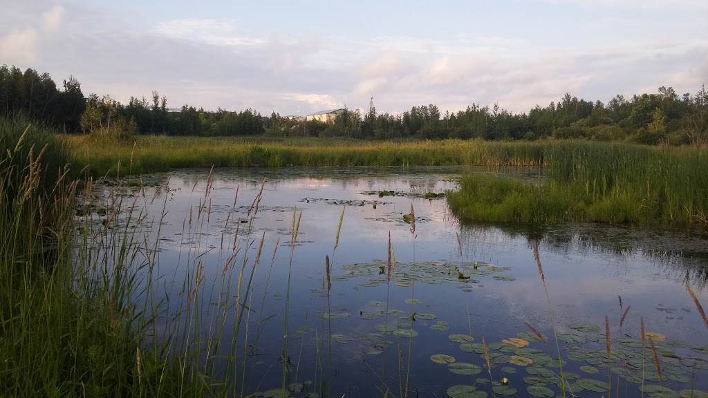 Parc Brochu-Châtigny | 102 Rue du Soudeur, Saint-Isidore, QC G0S 2S0, Canada