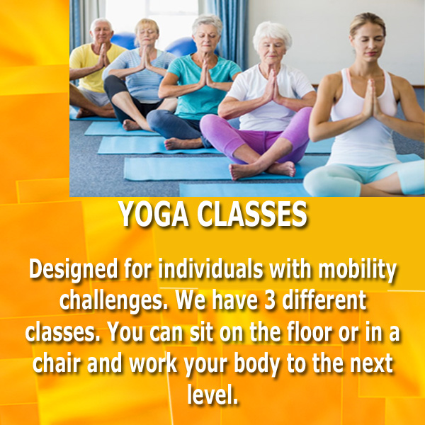 Bee Wellness Older Adult Fitness and Rehab Therapy | 3680 Roblin Blvd, Winnipeg, MB R3R 0E1, Canada | Phone: (204) 832-2077