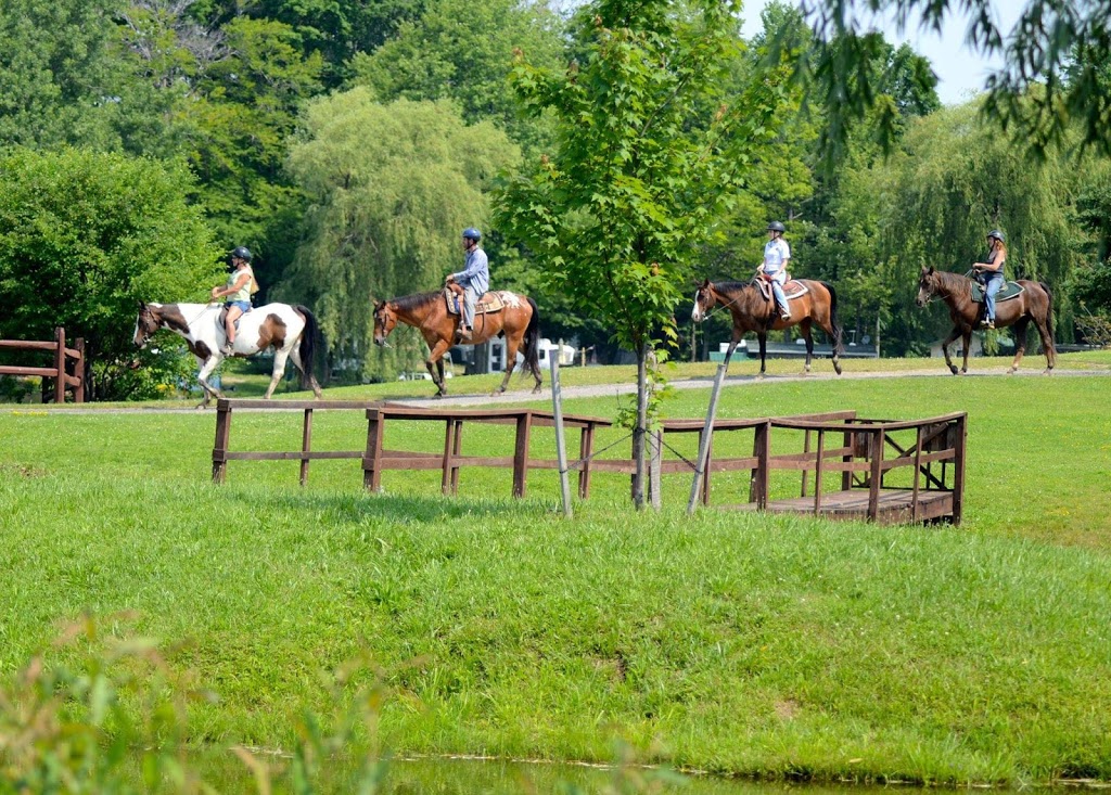 Colden Lakes Resort | 9504 Heath Rd, Colden, NY 14033, USA | Phone: (716) 941-5530