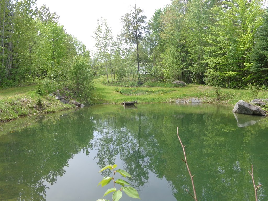 Mésange des Buissons | 36B Chemin Gosford, Bishopton, QC J0B 1G0, Canada | Phone: (819) 574-3398