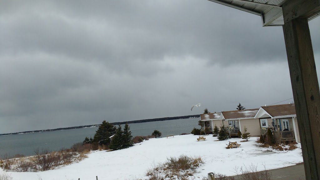 Fishermans Market | 354 Black Point Rd, Shelburne, NS B0T 1W0, Canada | Phone: (902) 637-1606