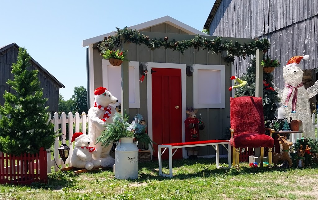 Santa Bill on Six | 312616 Hwy 6 RR3, Durham, ON N0G 1R0, Canada | Phone: (519) 369-7335