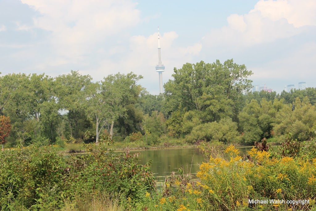 Island Public/Natural Science School | 30 Centre Island Park, Toronto, ON M5J 2E9, Canada | Phone: (416) 393-1910