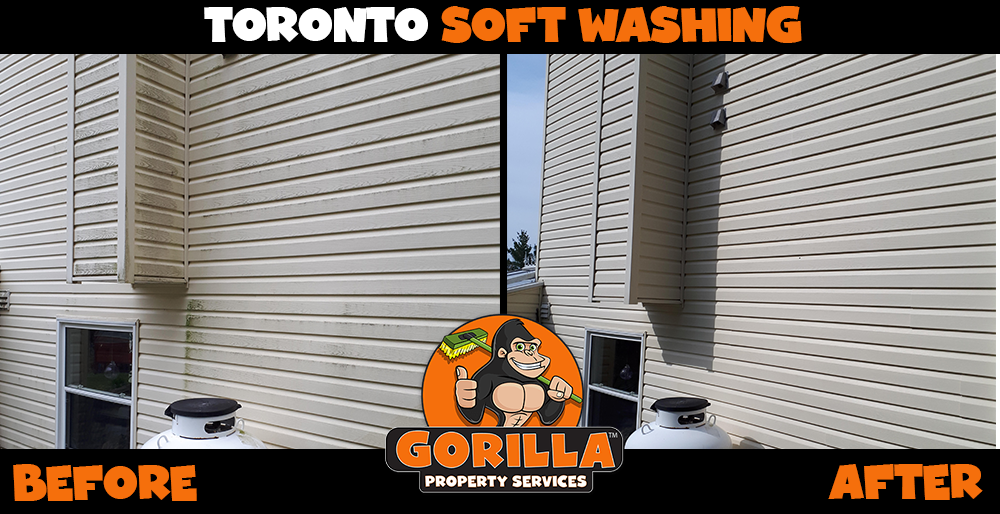 Gorilla Property Services | Jane Park Plaza Suite 98621, Toronto, ON M6N 5A6, Canada | Phone: (647) 559-9636