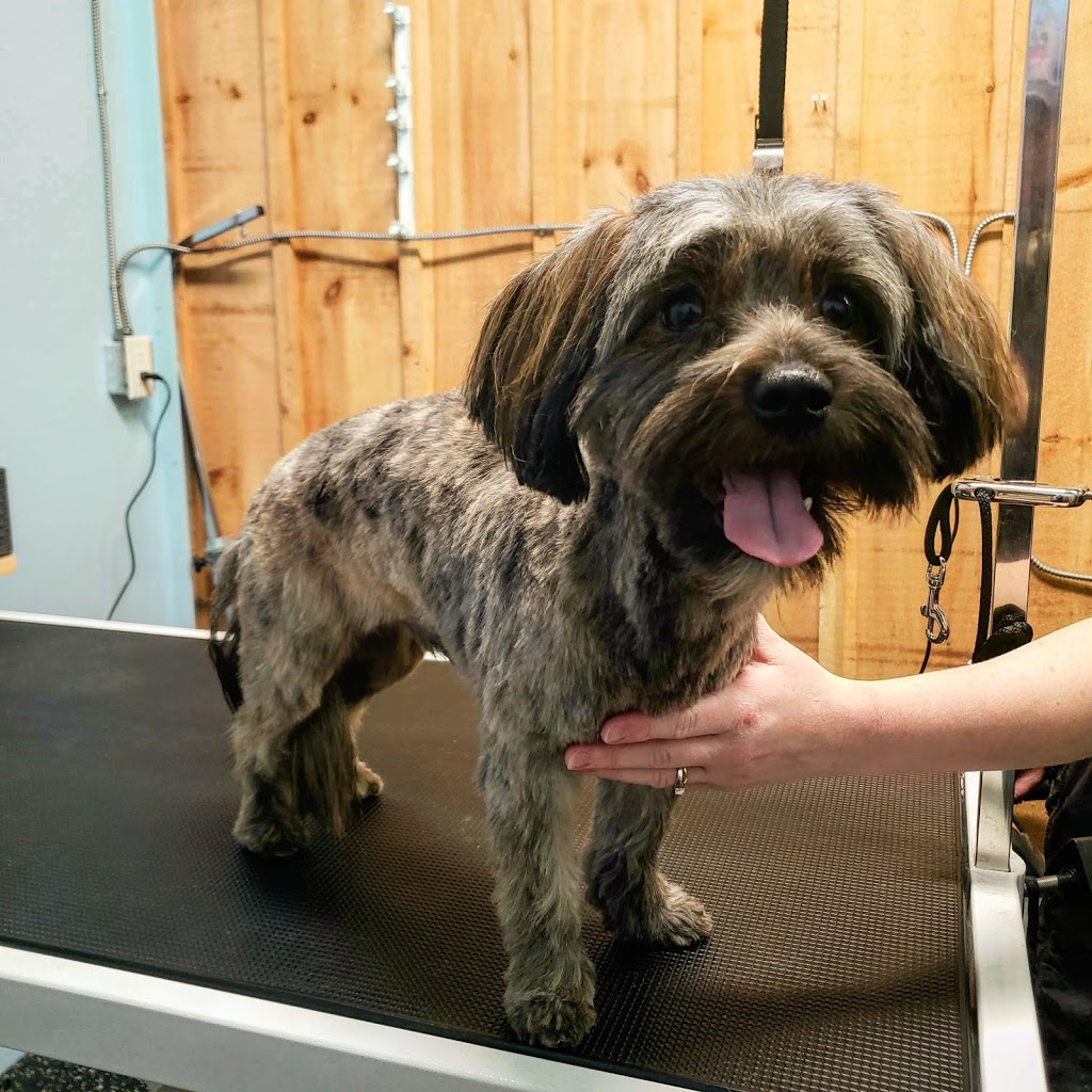 Canadian Pet Connection | 278 Cook St Unit 8, Meaford, ON N4L 1H4, Canada | Phone: (844) 799-7387