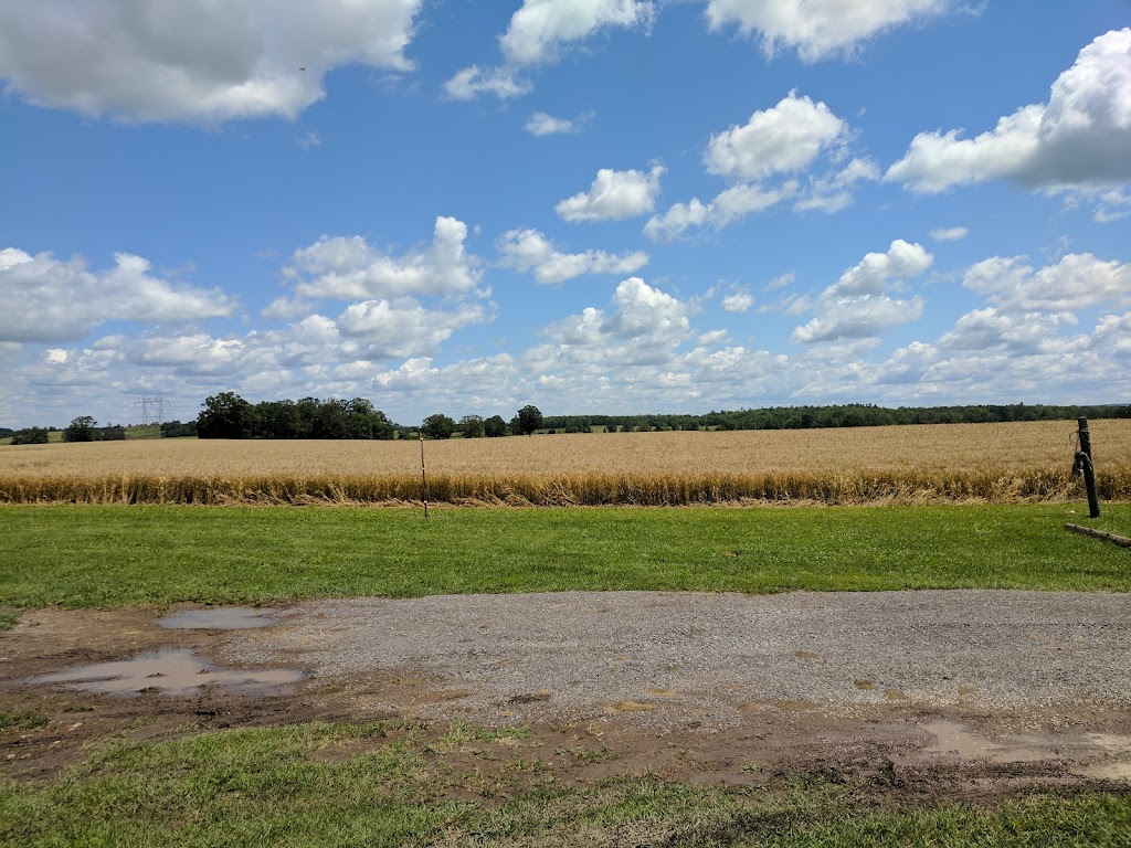 Polmenna Barn | 179 Catchmore Rd, Campbellford, ON K0L 1L0, Canada | Phone: (705) 653-2398