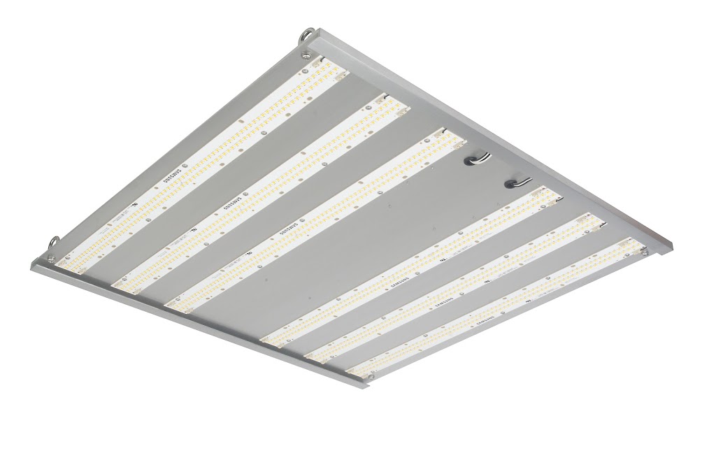 I:F Lighting Co. Ltd. | 1-643 Colby Dr, Waterloo, ON N2V 1B4, Canada | Phone: (226) 647-2672