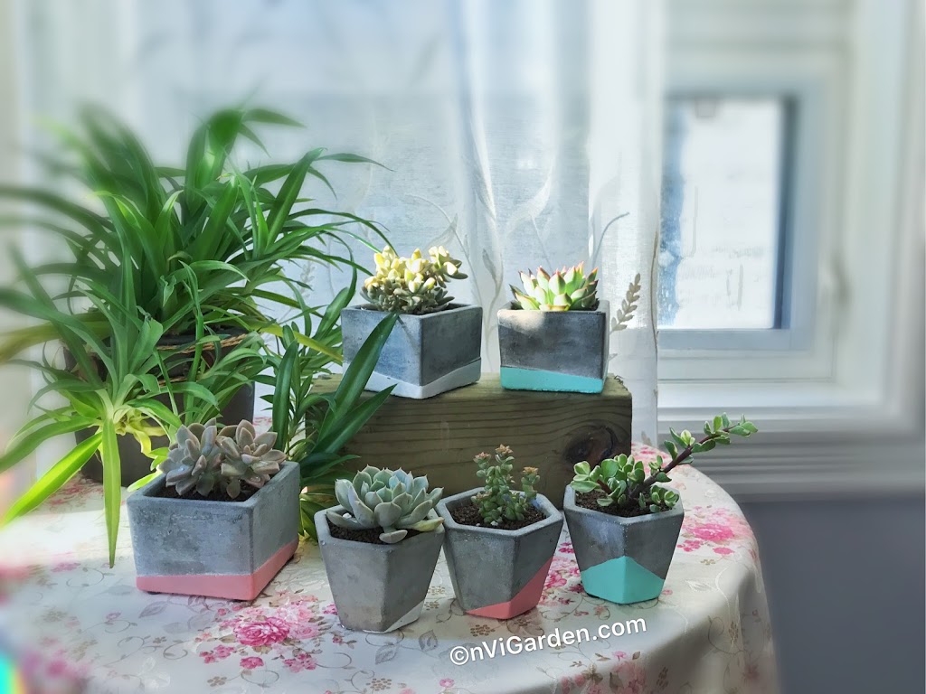 nVi Garden | 129 Byng Ave, North York, ON M2N 4K6, Canada | Phone: (647) 588-0604