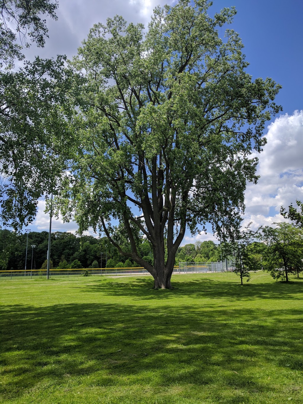 West Lions Park | 20 Granville St, London, ON N6H 2B1, Canada | Phone: (519) 661-5575