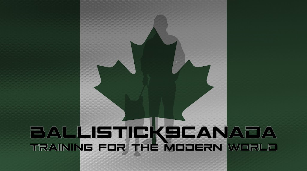 Ballistick9Canada | 143 Borden Ave, Belmont, ON N0L 1B0, Canada | Phone: (519) 318-2851