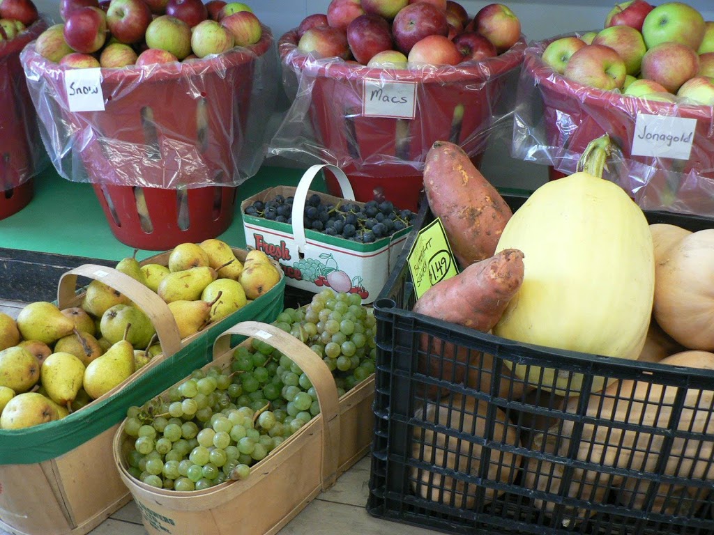 Schnurrs Grocery Store | 5168 Ament Line, Linwood, ON N0B 2A0, Canada | Phone: (519) 698-2370