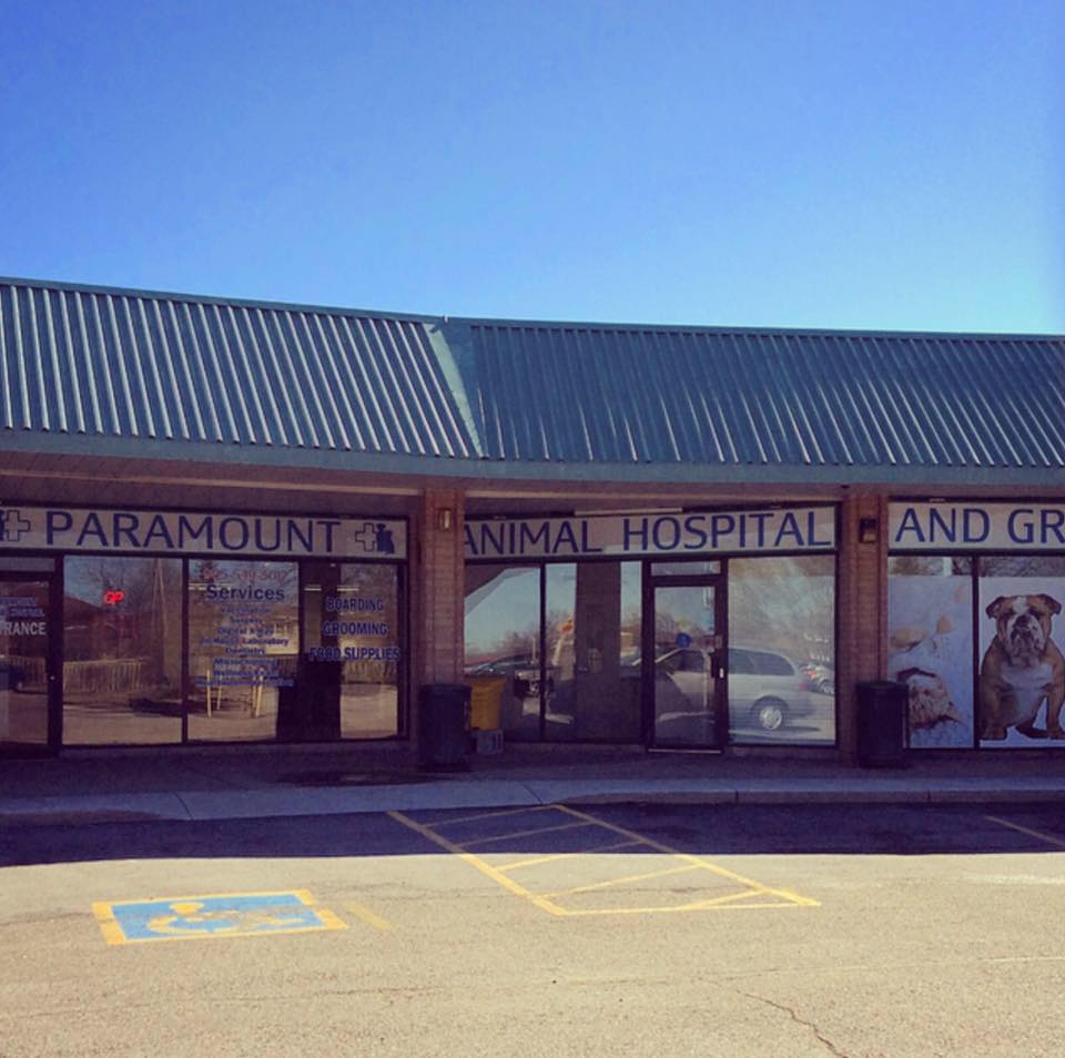 Paramount Animal Hospital | 1050 Paramount Dr unit 13, Stoney Creek, ON L8J 1P8, Canada | Phone: (905) 549-3017