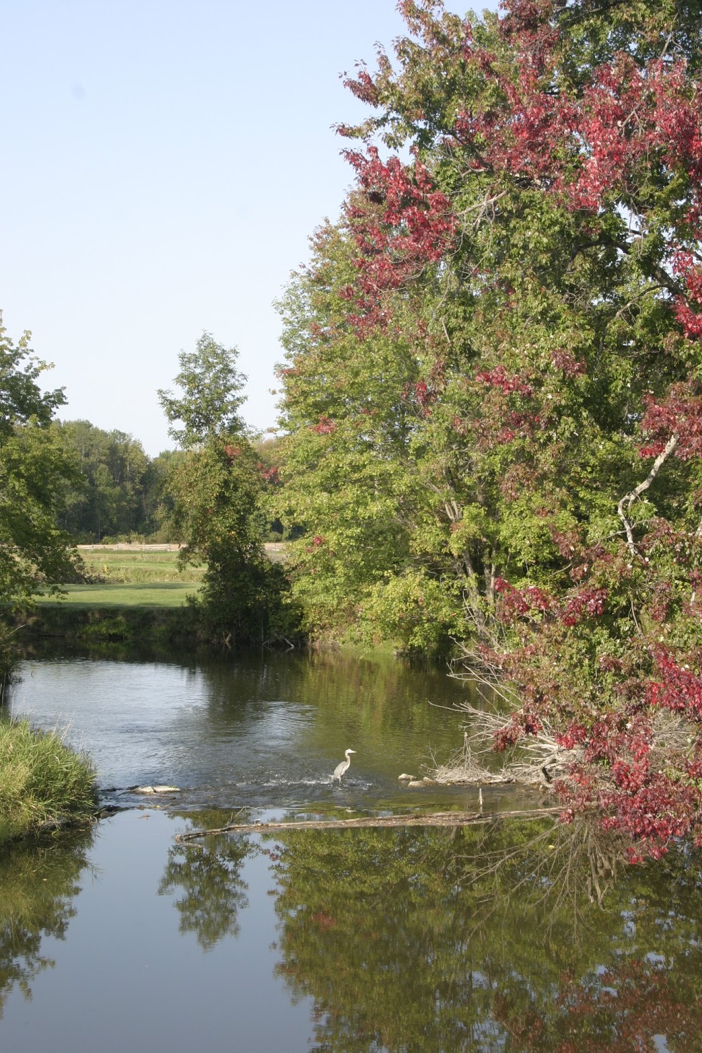 Oak Hills Golf Club | 1538 Frankford Stirling Rd, Stirling, ON K0K 3E0, Canada | Phone: (613) 395-2611