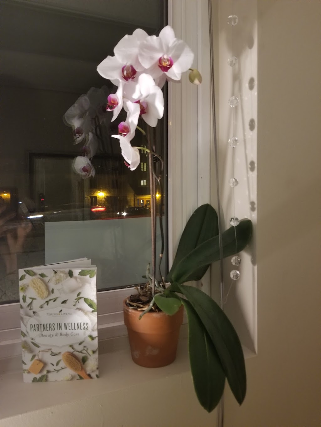 Aromatic Wholistic Health Spa | 343 Waterloo Ave b, Guelph, ON N1H 3K8, Canada | Phone: (647) 717-6457