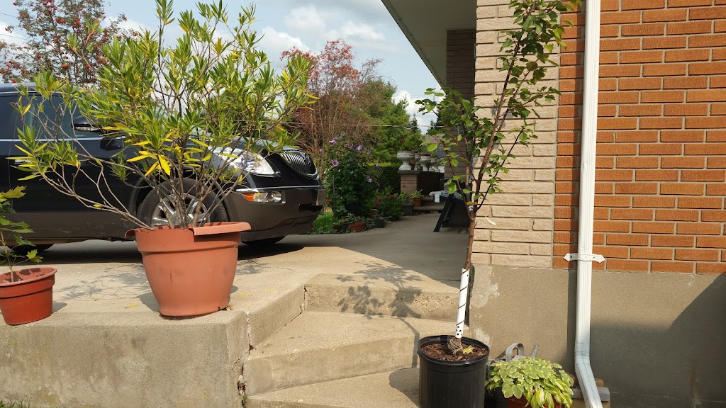 Jim Roger Construction Ltd | 100 Brock St S, St. Marys, ON N4X, Canada | Phone: (519) 284-2635