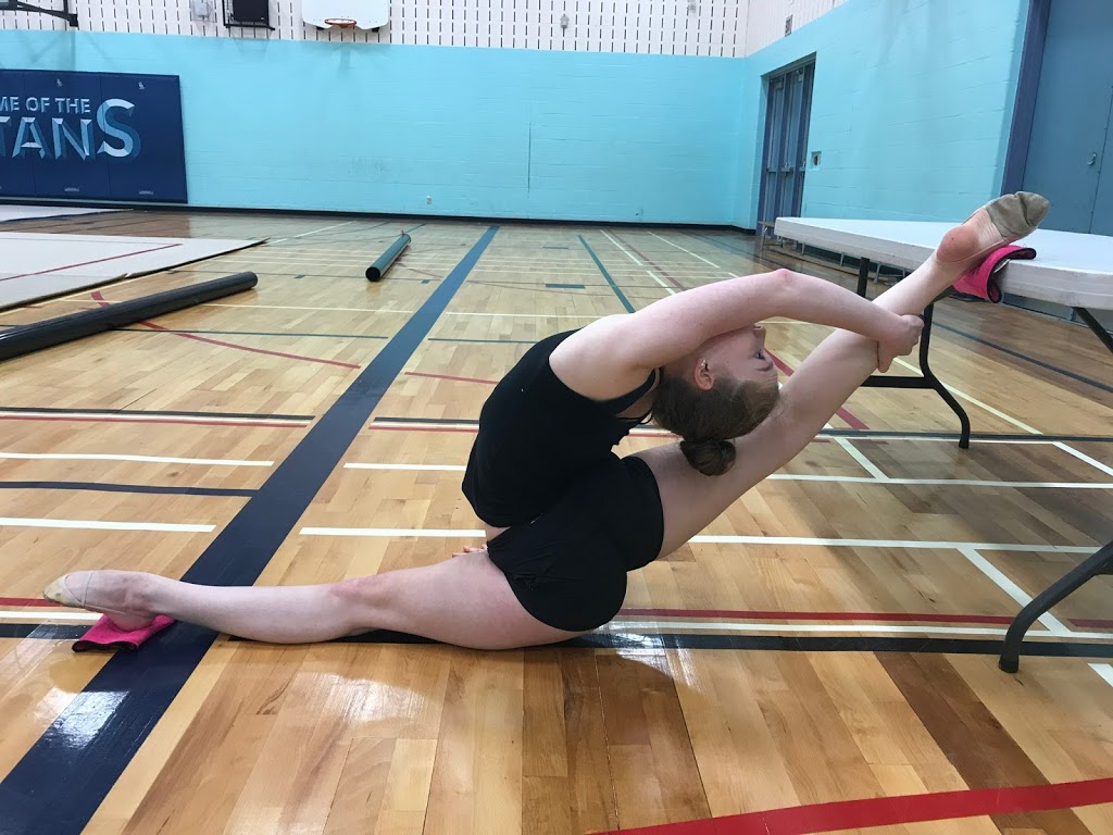 Pirouette Rhythmic Gymnastics Club | 742 Mayfly Cres, Nepean, ON K2J 0T3, Canada | Phone: (613) 692-1905