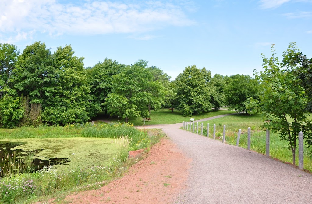 Cavendish Grove, Prince Edward Island National Park | 8780 PE-6, Cavendish, PE C0A 1M0, Canada | Phone: (902) 672-6350