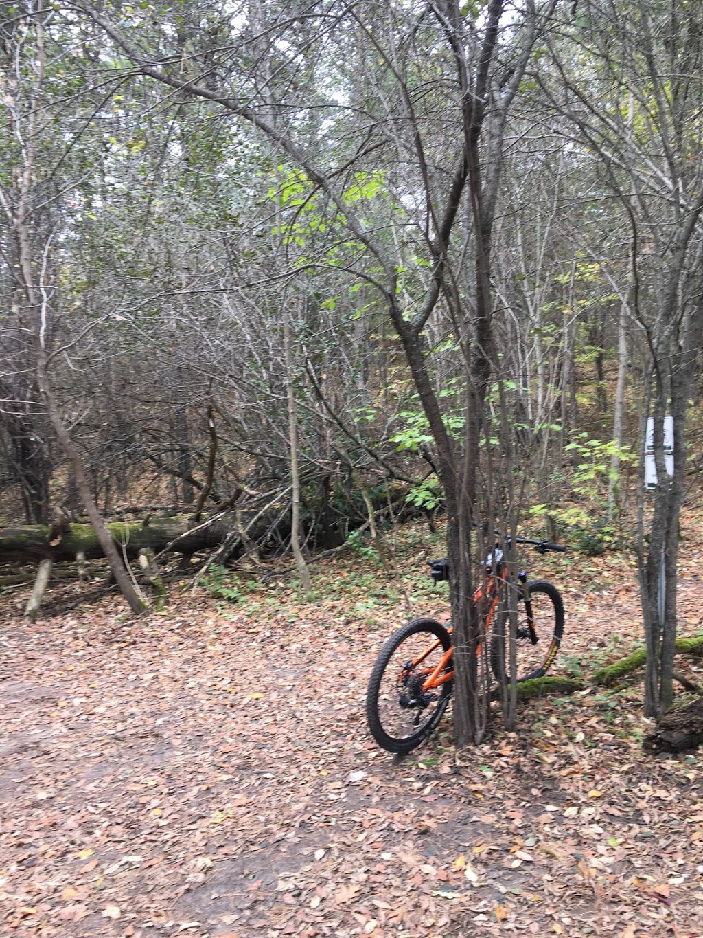 Hydro Cut | 43.428959,-80.563445, Kitchener, ON N2J 3Z4, Canada