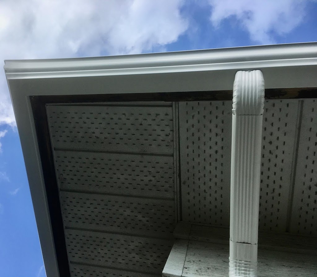 Golden Phoenix Gutter | 12496 Davenport Dr, Maple Ridge, BC V2X 8X2, Canada | Phone: (778) 957-9806
