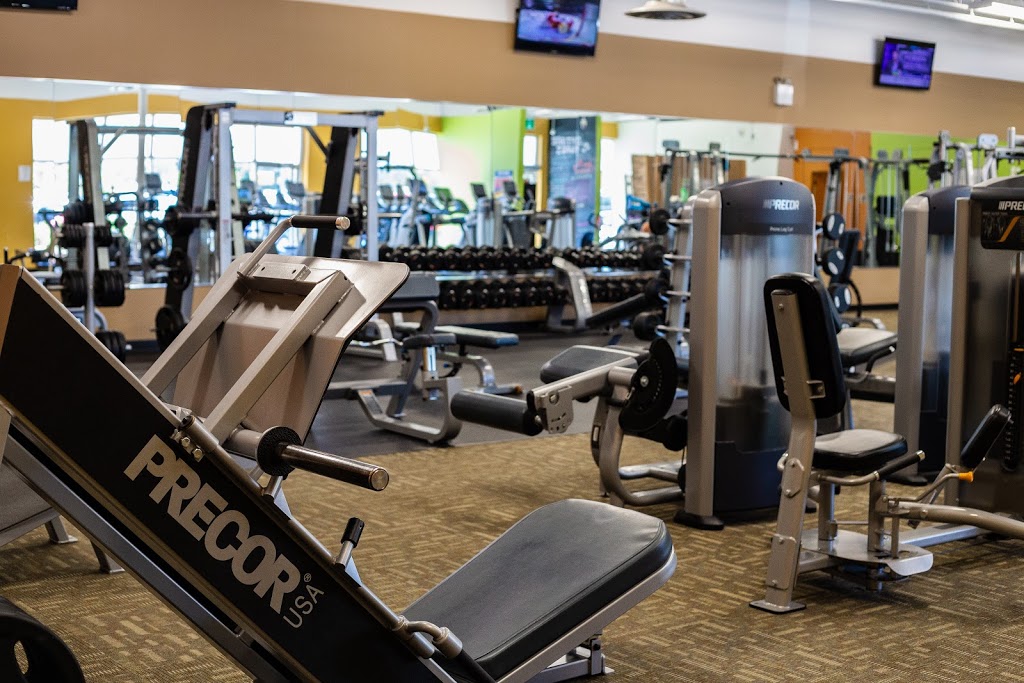 Anytime Fitness | 338 Waterloo St, New Hamburg, ON N3A 1T6, Canada | Phone: (519) 390-4348