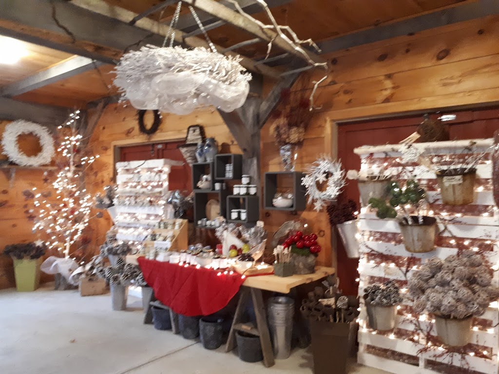 The Garden Network | 57 Maybee Rd, Frankford, ON K0K 2C0, Canada | Phone: (343) 263-5657