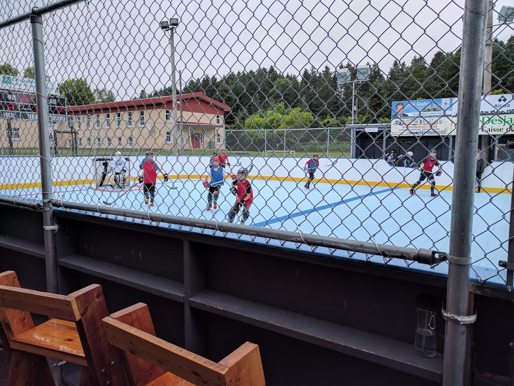 Dek Hockey Portneuf | 100 Rue Paquin, Portneuf, QC G0A 2Y0, Canada | Phone: (418) 286-3844