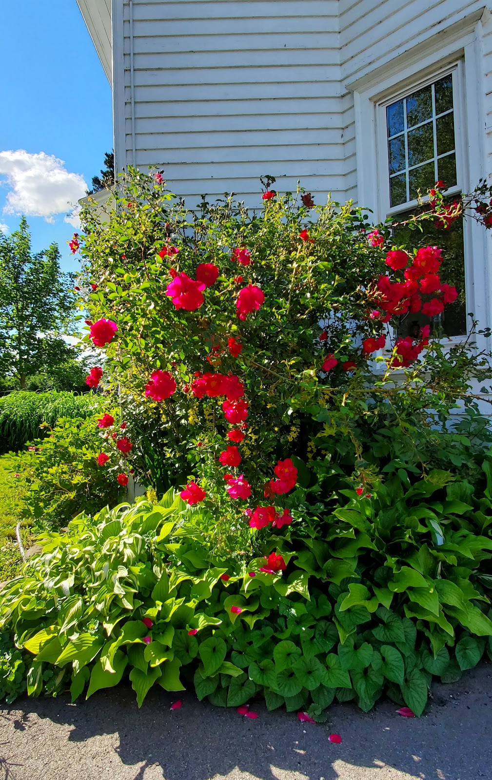 Braevale Manor Estate | 382 Main St, Sackville, NB E4L 3H6, Canada | Phone: (506) 875-2201