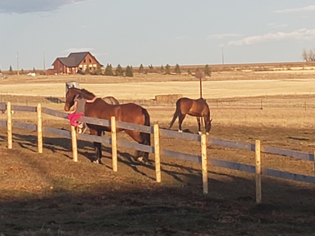Fantasy Ridge Farms | 21131 Big Hill Springs Rd, Calgary, AB T3R 1K5, Canada | Phone: (403) 485-1655