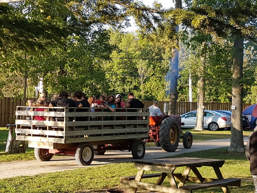 Jell-e-Bean Campground & Trailer Park | 8681 Beachwood Rd, Wasaga Beach, ON L9Z 2G5, Canada | Phone: (705) 429-5418