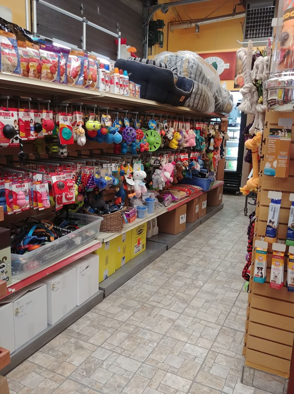 Boutique Golden Paws | 4830 Rue René-Émard, Pierrefonds, QC H9A 2Y1, Canada | Phone: (514) 620-1158