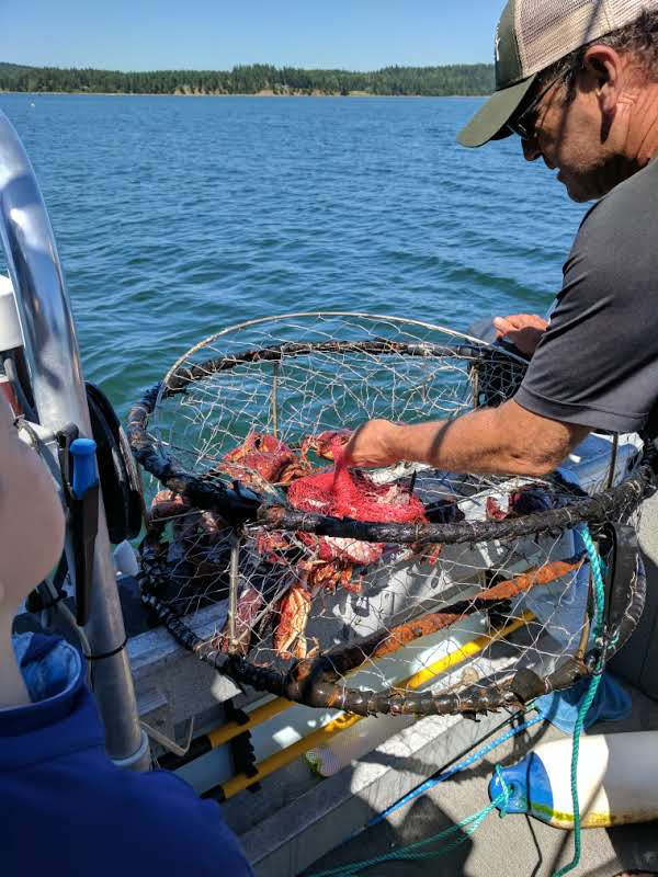 Van Isle Fishing And Marine Adventures | 170 Burne Rd #160, Nanaimo, BC V0R 1G0, Canada | Phone: (250) 338-1935