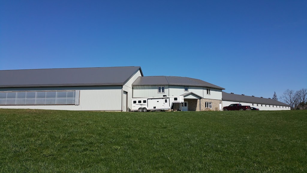 Shining Star Ranch | 52 Concession 2 Sdr, Walkerton, ON N0G 2M0, Canada | Phone: (519) 506-3321