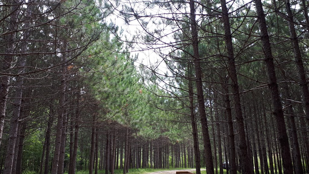 SAQMAQ park and walking trail | 964 Robinson Rd #932, Shubenacadie, NS B0N 2H0, Canada | Phone: (902) 236-2171
