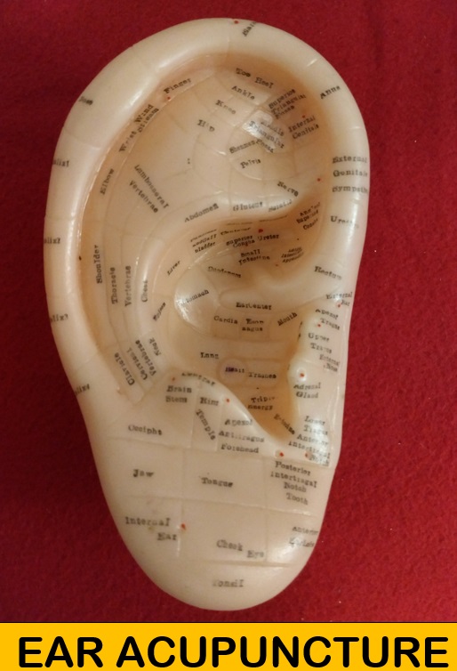 Acupuncture Herbs TCM-Woodbridge | 4610 Hwy 7 # 303, Woodbridge, ON L4L 7B9, Canada | Phone: (647) 444-4083