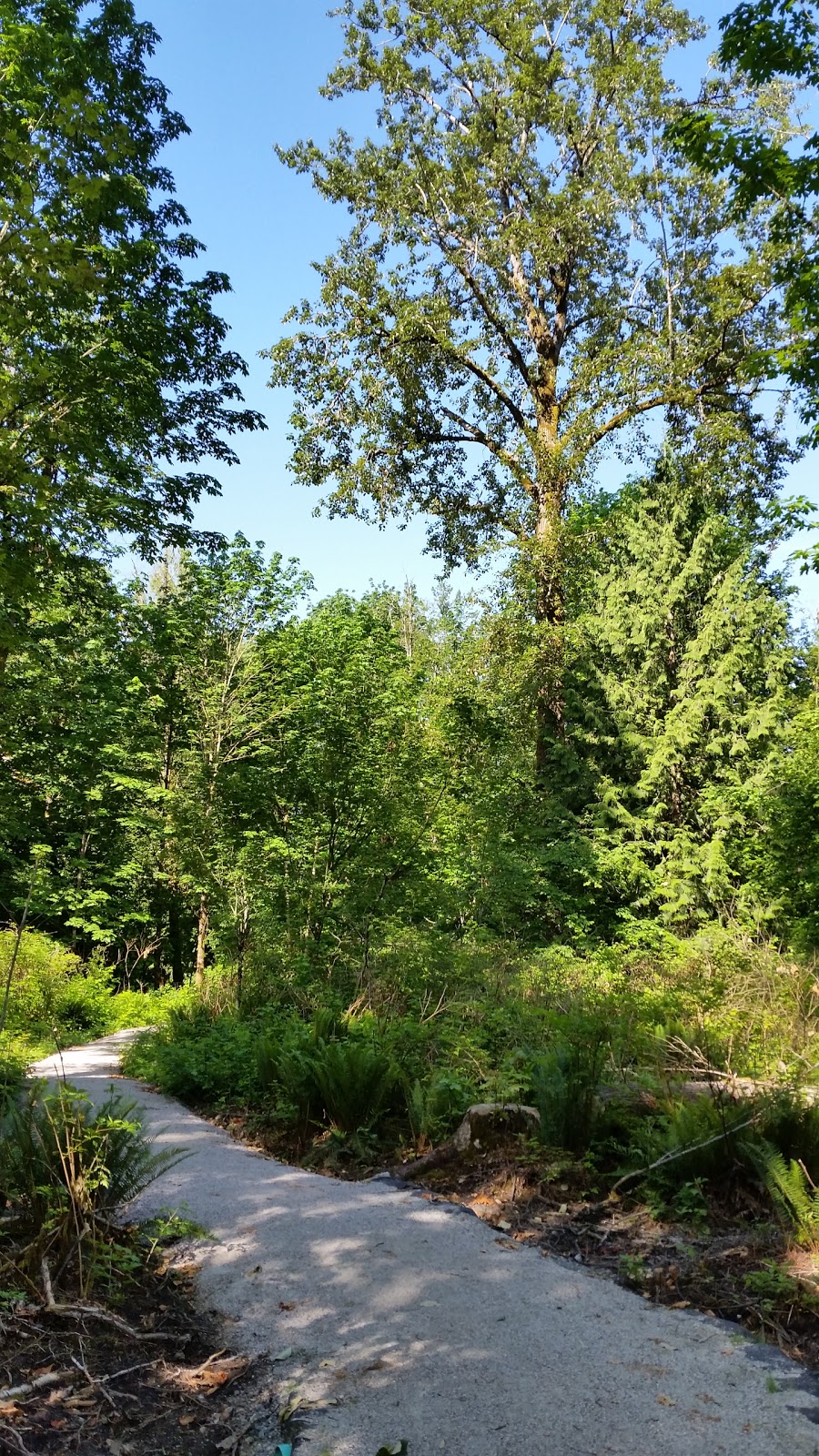 Fleetwood Park | 15802, 15802 80 Ave, Surrey, BC V4N 0T3, Canada | Phone: (604) 501-5050