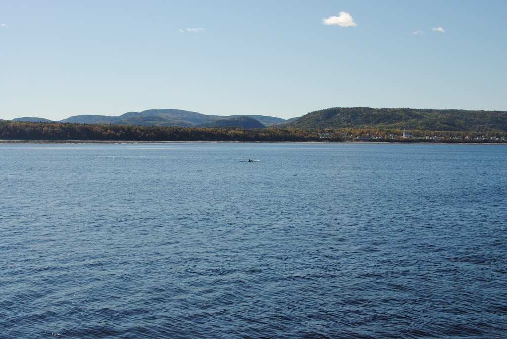 Croisières AML | Billetterie Baie-Sainte-Catherine | 159 QC-138, Baie-Sainte-Catherine, QC G0T 1A0, Canada | Phone: (866) 856-6668