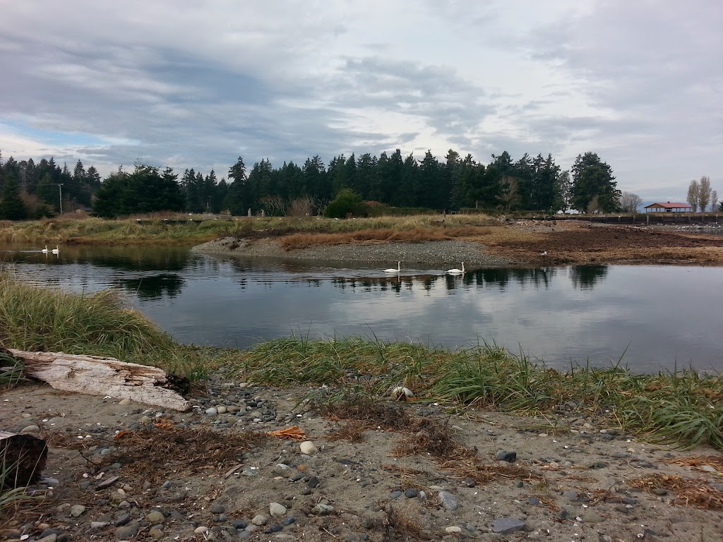 Josh Muise Designs | 19 - 5251 Island Highway, 5251 Island Hwy W, Qualicum Beach, BC V9K 2C1, Canada | Phone: (902) 482-2809
