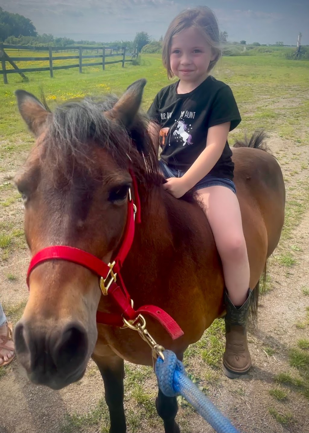 Flatt Ranch Boarding Facility | 2478 Smithville Rd, Smithville, ON L0R 2A0, Canada | Phone: (289) 209-8620